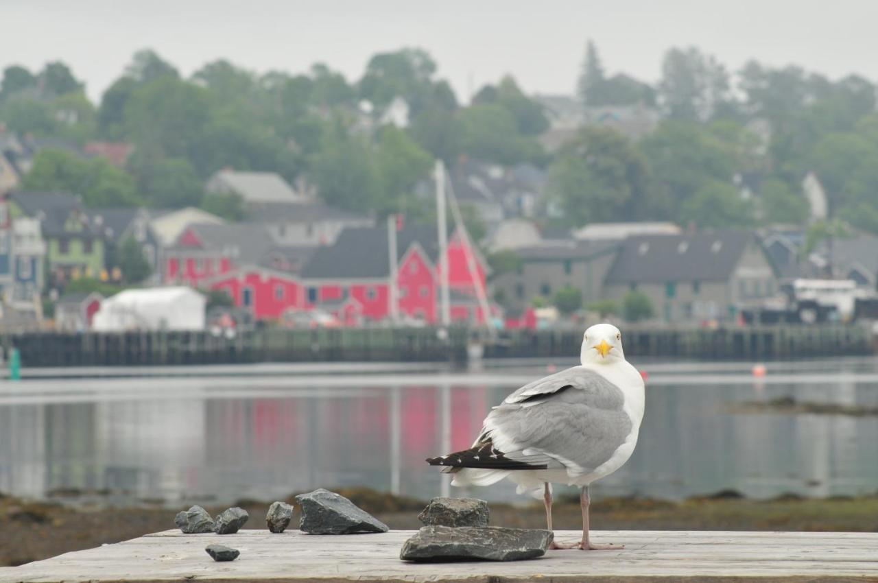 Smugglers Cove Inn Lunenburg Exteriör bild
