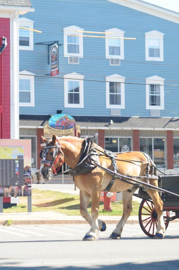 Smugglers Cove Inn Lunenburg Exteriör bild
